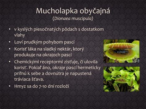 Schéma znázorňujúca rôzne typy pascí mäsožravých rastlín (mucholapka, rosička, krčiažnik, tučnica)