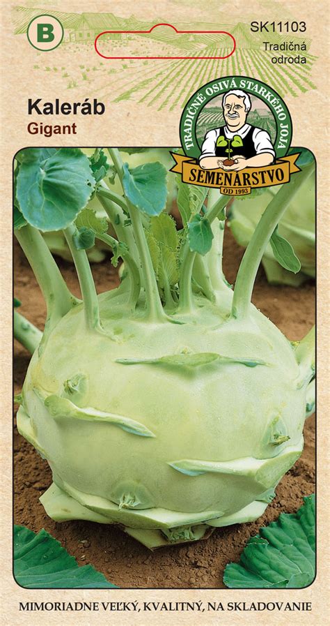 Detail kalerábu v reze, znázorňujúci jeho šťavnatú dužinu