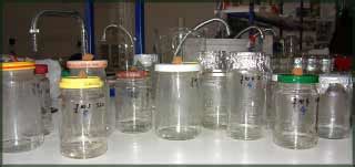 Rôzne typy kultivačných nádob používaných v in vitro kultivácii.