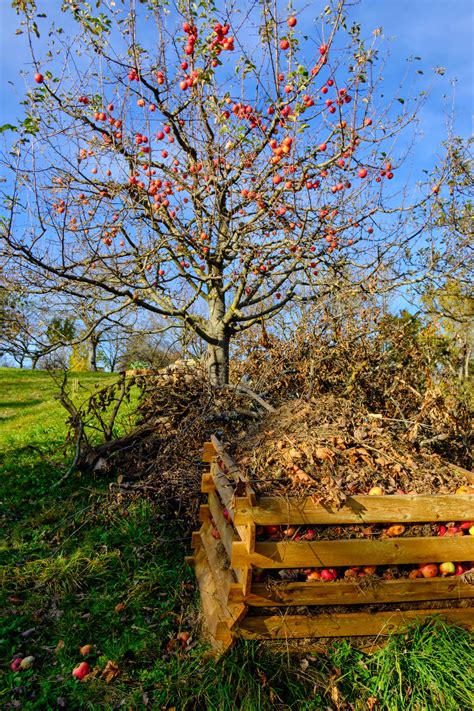 Kompostovisko s vyzretým organickým materiálom