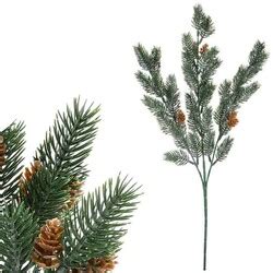 Ilustrácia smreka východného s charakteristickými šiškami a ihličím