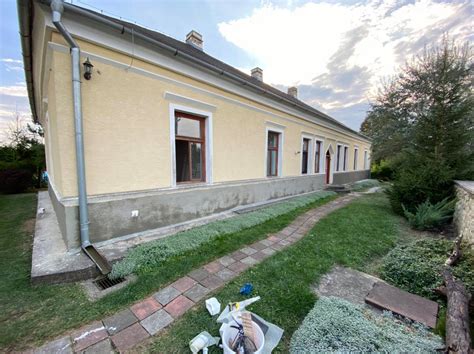Schéma rastu paviniča trojlaločného na fasáde budovy s detailom prísavných doštičiek na úponkoch