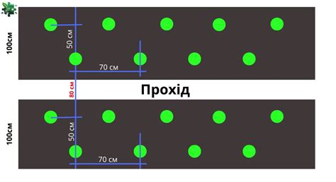 Schéma správnej výsadby orgovánu s vyznačenou hĺbkou a veľkosťou jamy