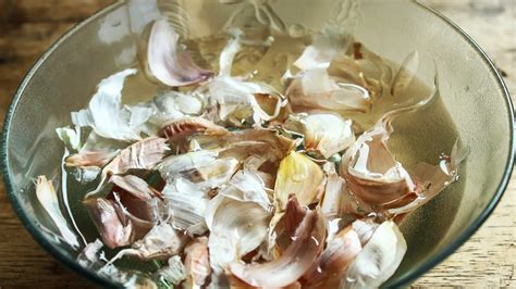 Obrázok cesnaku a vody, symbolizujúci prípravu cesnakového roztoku