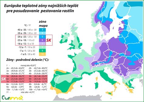 Infografika zobrazujúca ideálne teplotné rozhranie pre zimovanie Brugmansií v interiéri