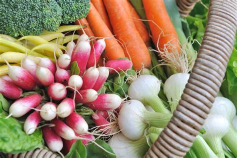 Ilustrácia rôznych druhov zeleniny vhodných pre začiatočníkov.