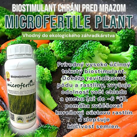 vizualizácia mykorhíznej siete pri koreňoch rastliny