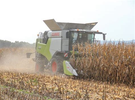 kombajn na cukrovú trstinu pri práci na poli