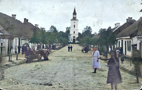 Fotografia revitalizácie starej vinice