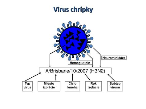 Infografika znázorňujúca cyklus šírenia vírusu šarky sliviek.