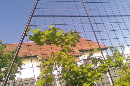 Oporná konštrukcia zváraná z oceľových rúrok a sieťoviny