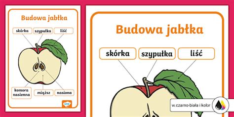 Infografika znázorňujúca rezný pohľad na jablko a opis jeho chuti a štruktúry dužiny