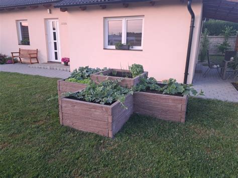 fotka vyvýšeného záhonu s rozmanitou zeleninou a bylinkami