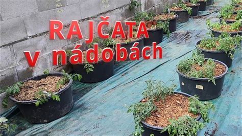 Ukážka rôznych typov strešných substrátov v nádobách