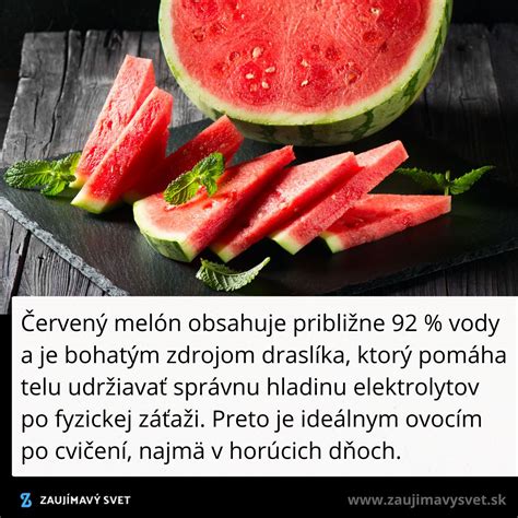 fotografia melónu podopretého sieťkou na konštrukcii