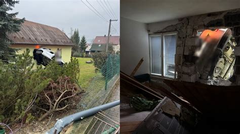 Tematické foto paviniča trojlaločného na stene domu