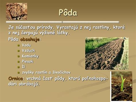 Zloženie pôdy a jej biologická aktivita