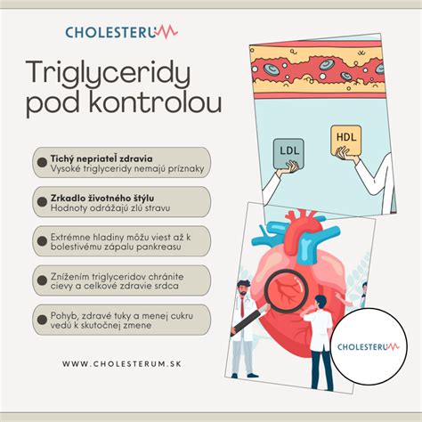 Infografika: Krok-za-krokom delenie trvaliek