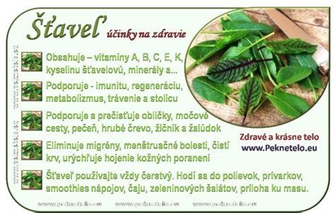 Ilustrácia zberu listov šťaveľa