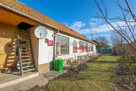 Pohľad na exteriér záhradníctva Hadžima v Špačinciach a jeho pestrofarebnú ponuku rastlín