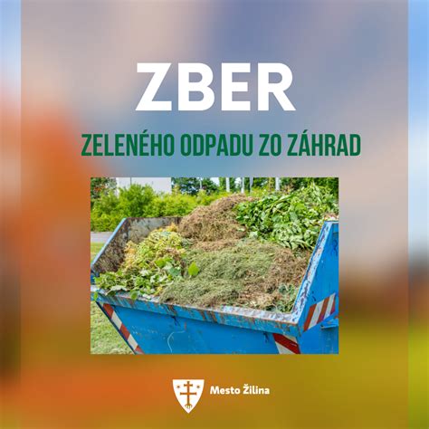 Infografika: Harmonogram pestovania zeleru od januárového výsevu až po jesenný zber