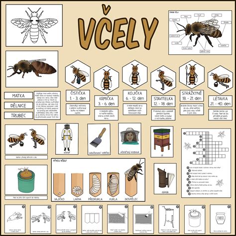 Schéma klasifikácie pesticídov podľa vplyvu na včely (B1 až B4) a ich povolené časy aplikácie.