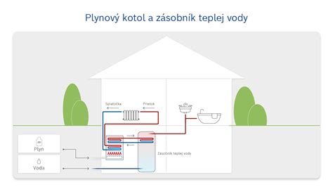 Schéma znázorňujúca odrezanie vrcholového odrezka, jeho ponorenie do teplej vody na zastavenie latexu a následnú výsadbu do substrátu pod igelitový kryt.