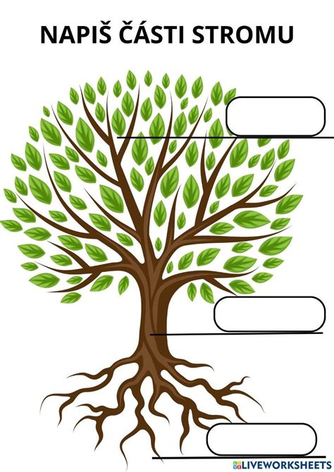 schéma zimnej ochrany mladého stromu