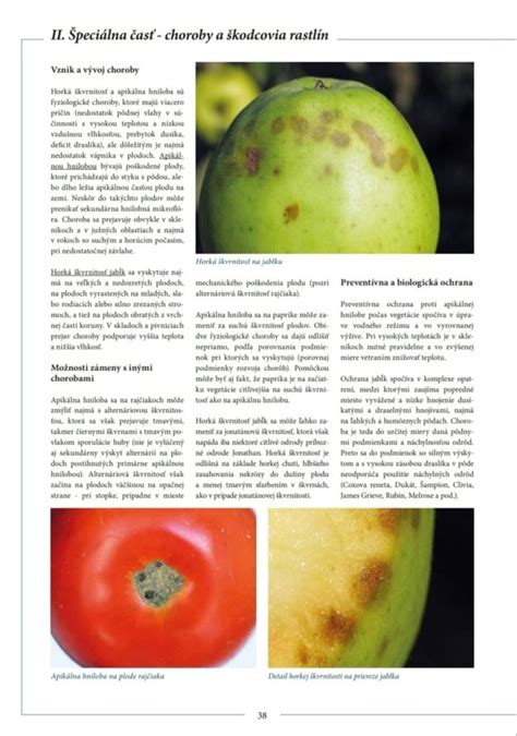 Infografika s prehľadom najčastejších škodcov a chorôb ríbezlí.