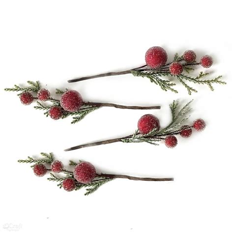 Detailné foto červených bobúľ gaultérie 'Big Berry' s tmavozelenými listami pokrytými ľahkým snehom