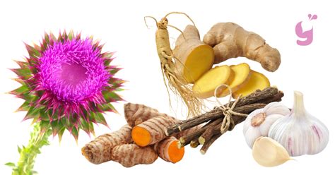 Misky s pripravenými surovinami na plnku: pečivo, pečeň, bylinky, korenie.