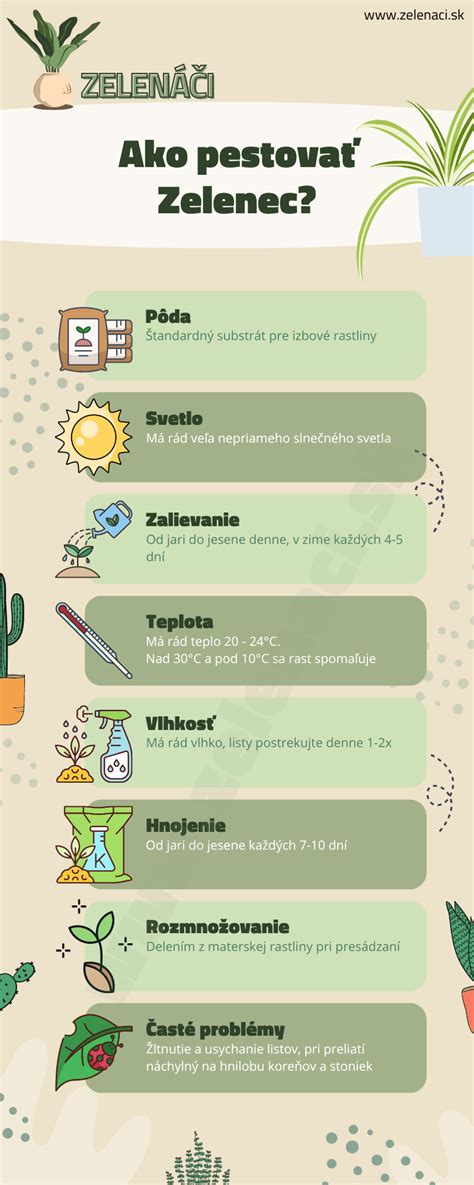 Infografika: Zelenec chochlatý ako čistička vzduchu