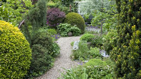 Ilustračná fotografia pestovanej šošovice v záhrade.