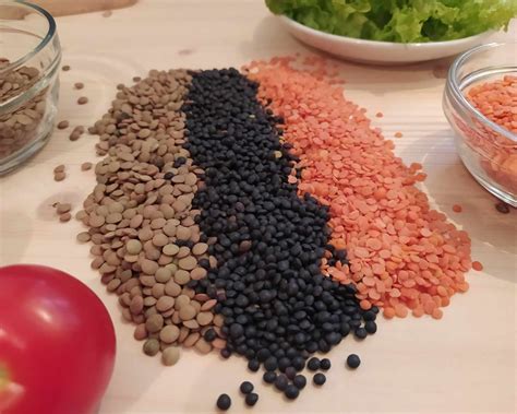 Ilustrácia dozretých strukov šošovice pripravených na zber.