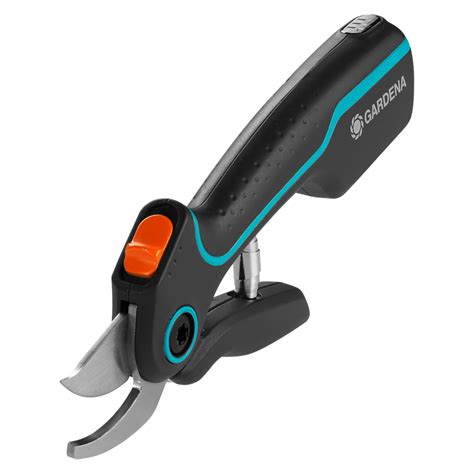 Tematické foto: Jalovec na jar s mladými výhonkami a záhradnícke nožnice