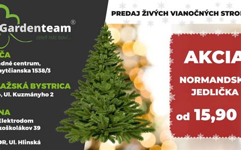 Výber zdravých ovocných stromčekov v záhradnom centre