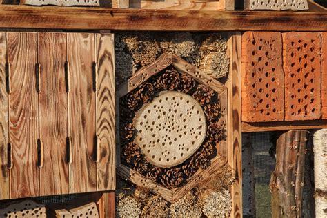 Ilustrácia rôznych druhov hmyzu, ktoré môžu obývať hmyzí hotel.