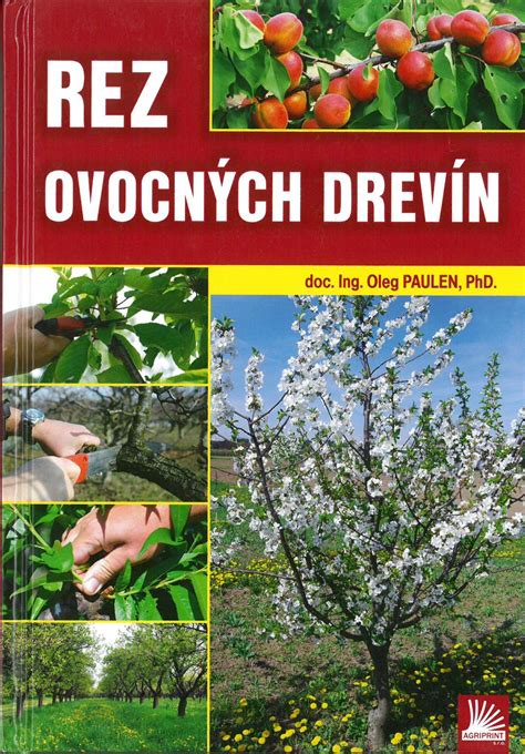 infografika s druhmi ovocných drevín a ich výživovými hodnotami