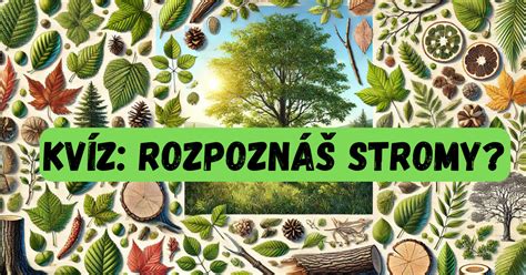 schéma teplotných zmien a ich vplyvu na praskanie kôry stromov