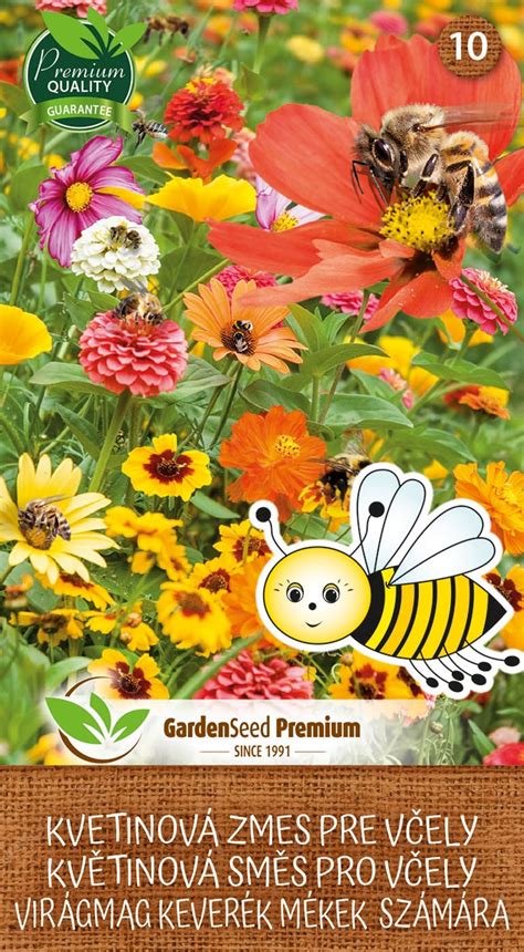 farebná zmes kvetov osteospermum na slnečnom balkóne