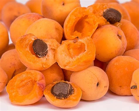 Ilustrácia napadnutia marhule moniliovou hnilobou