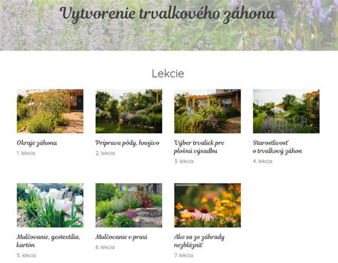 Infografika znázorňujúca správny postup prípravy pôdy pre kvetinový záhon.