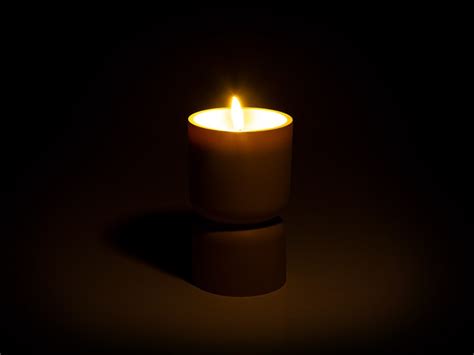 fotka klickov mungo v miske