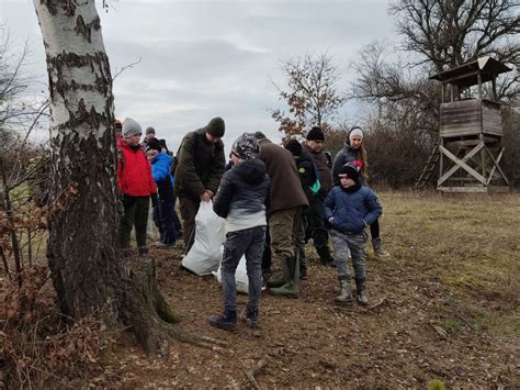 Zber kôry osiky v lese