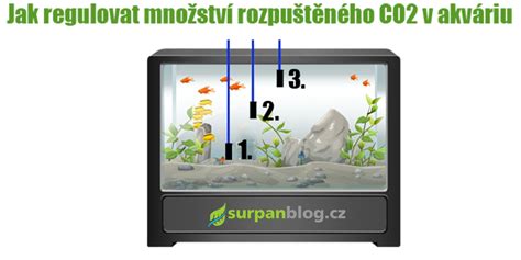 Ilustrácia znázorňujúca správne umiestnenie akvária s riasoguľou v tieni, ďalej od okna a zdrojov tepla.