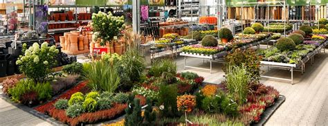 Pohľad na záhradné centrum OBI s pestrým výberom rastlín a záhradných doplnkov