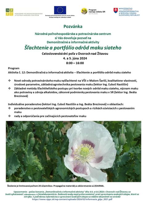 Botanická schéma maku siateho so zameraním na stavbu tobolky a semien