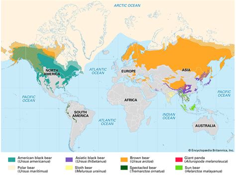 mapa znázorňujúca pôvodný areál rozšírenia dráča Thunbergovho v Japonsku a jeho naturalizovaný výskyt v Severnej Amerike a Európe