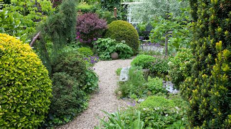 Ilustračná fotografia rôznych druhov dráčov v záhrade