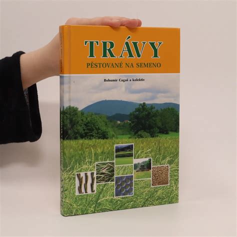 fotografia rôznych typov trávnikov - okrasný, športový, na semeno